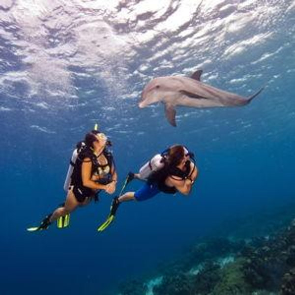 Underwater Photos