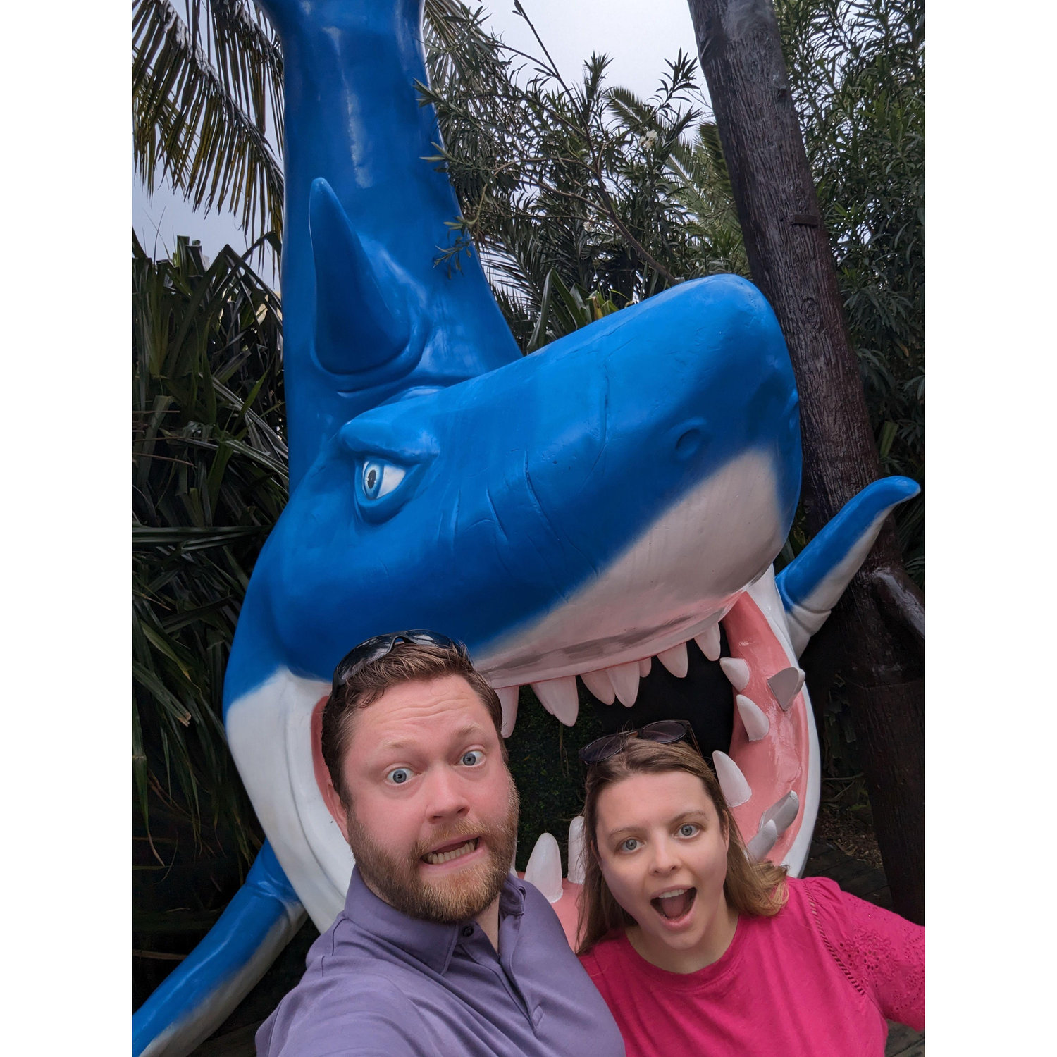Shark attack in Cancun!
