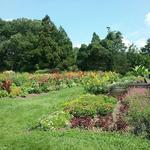 Rutgers Gardens Via Helyar Woods Trail