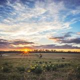 Shelby Farms Park