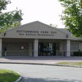 Buttonwood Park Zoo
