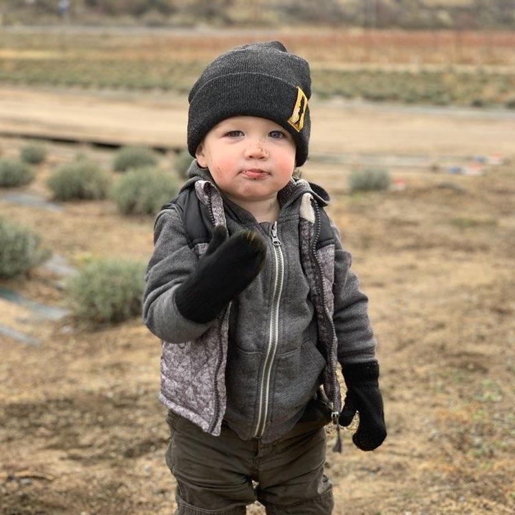 Our little guy - Jameson. We really lucked out with this one!