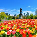 Boston Public Garden