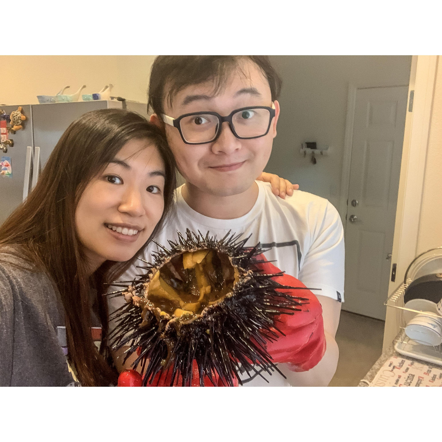 Our first attempt to open a live sea urchin.