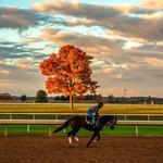 Keeneland