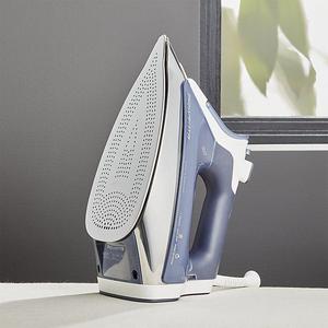 Rowenta ® Promaster Iron