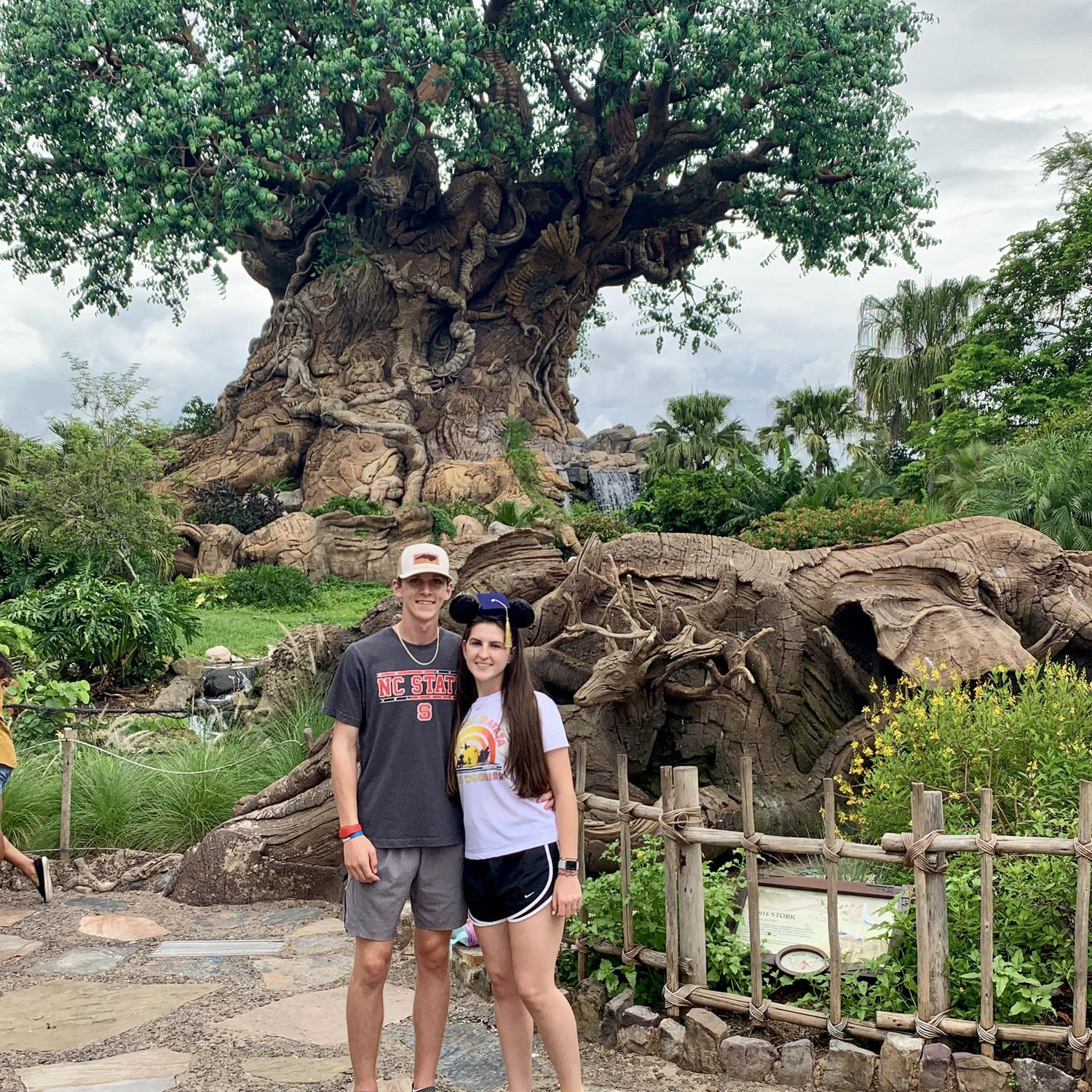 Disney 2019