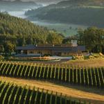 Penner-Ash Wine Cellars