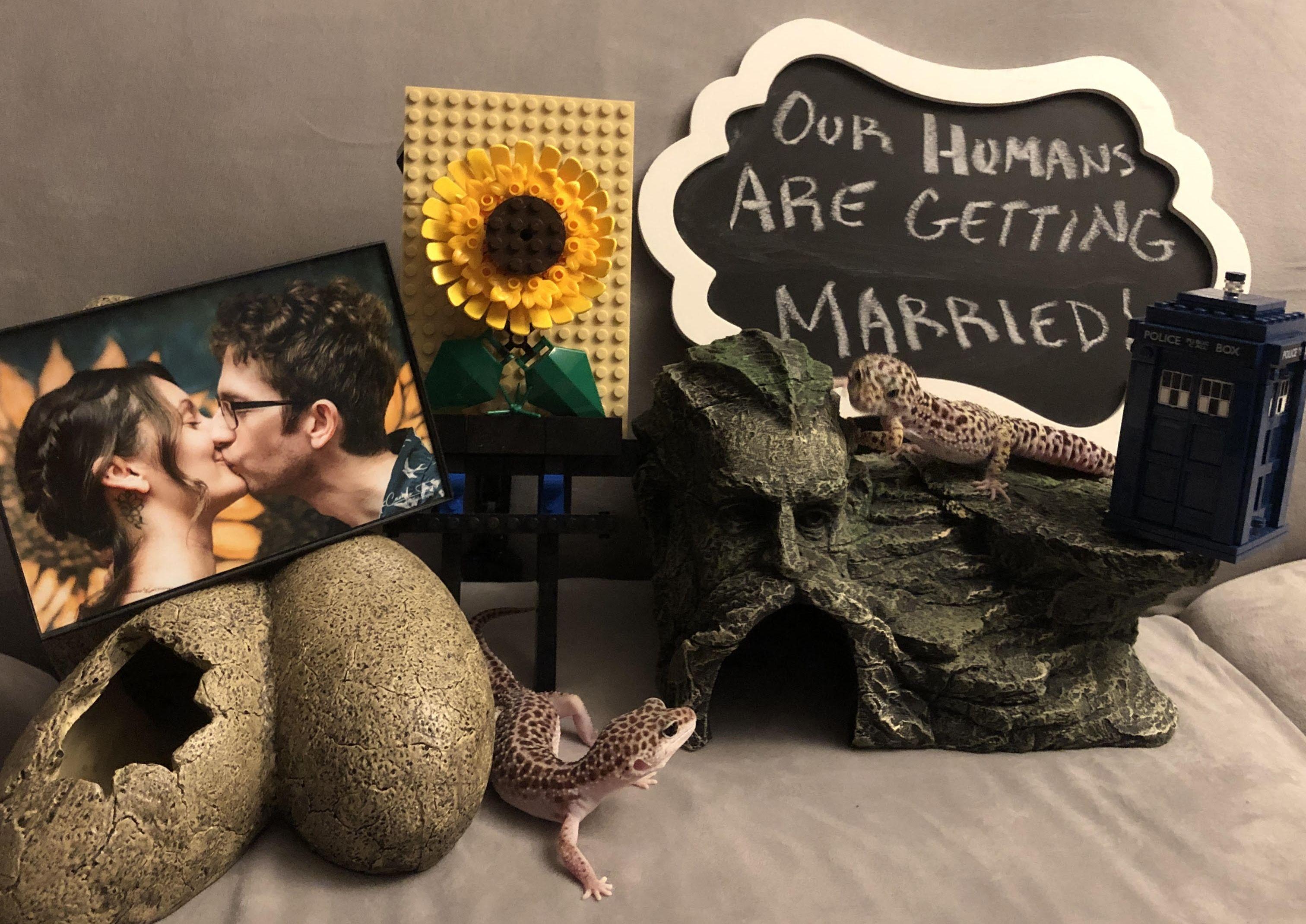 The Wedding Website of Jordan Gompers and Cameron Douglas