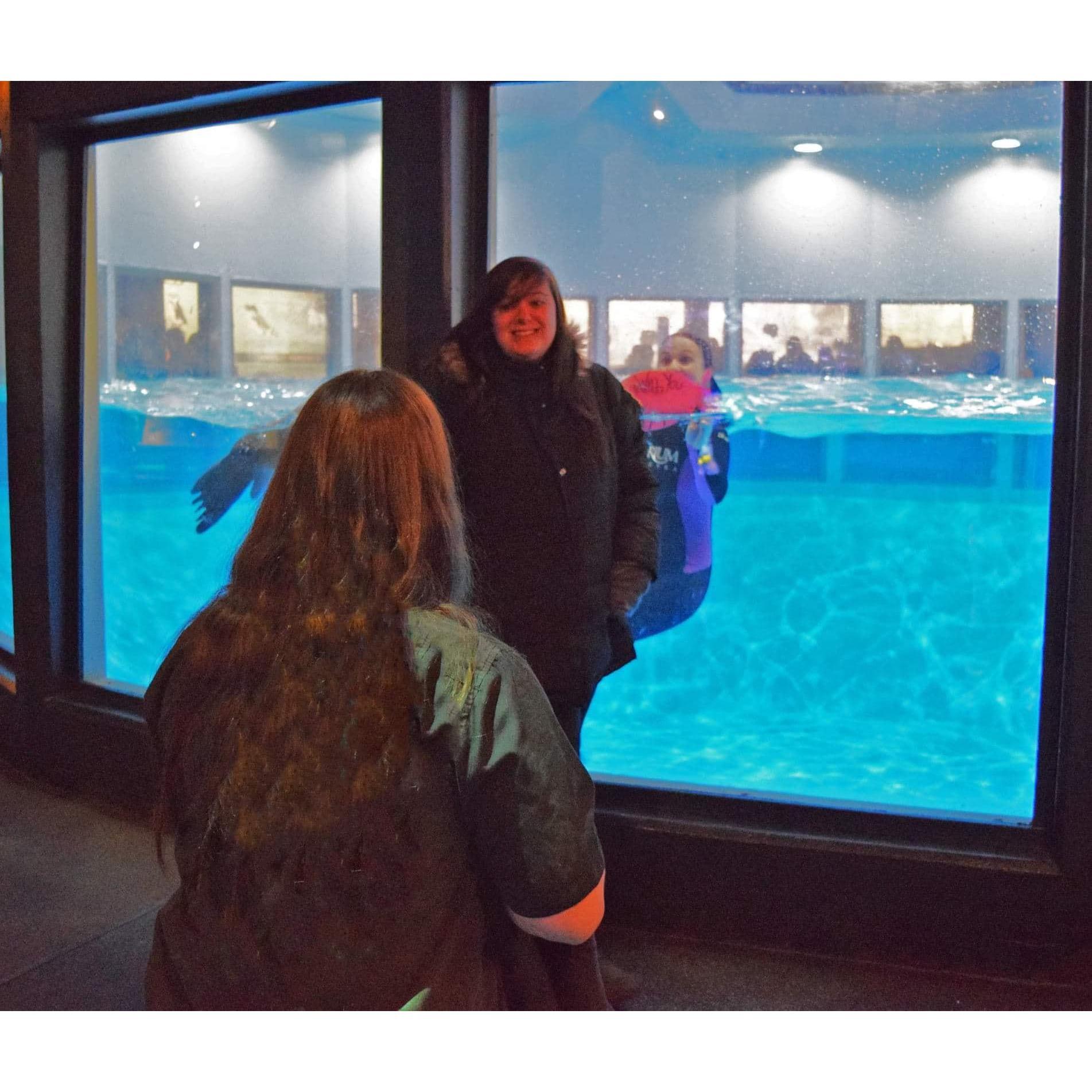The Proposal š¤
ā”Location: Aquarium of Niagara
ā”Photographer: Melissa Rice, Aquarium of Niagara