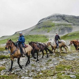 horsepacking fund