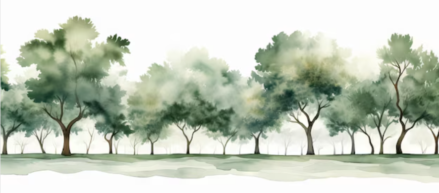 The Wedding Website of Matthew Churitch and Stephanie Brierley