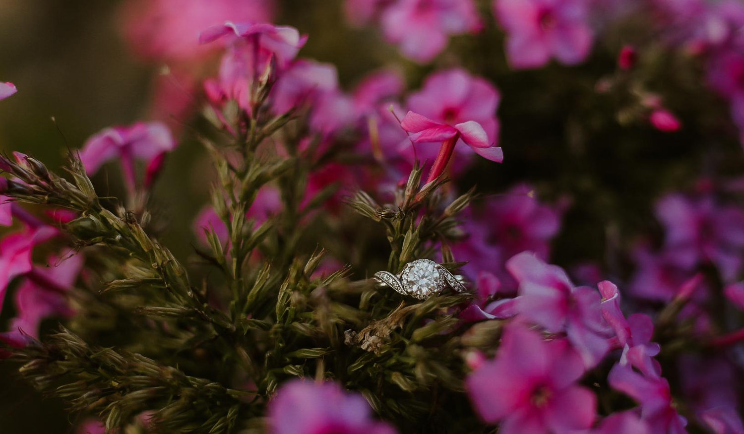 The Wedding Website of Alyx Morris and Tanner Neuenschwander