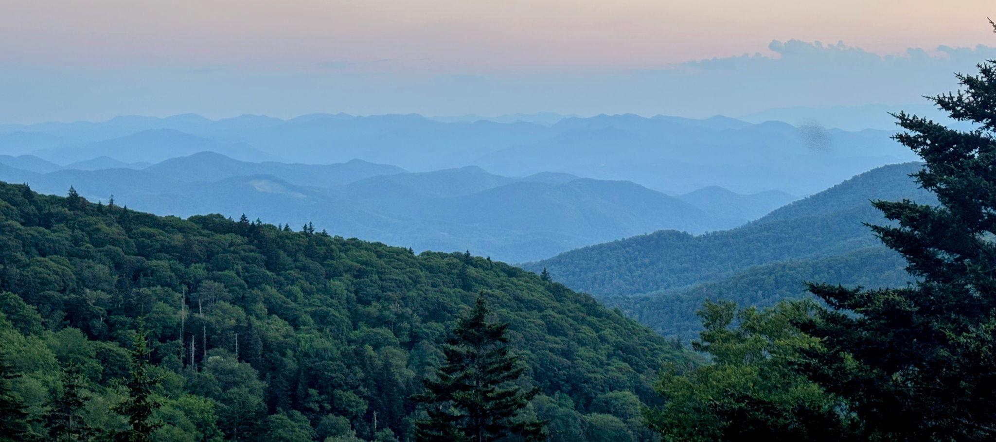 The Wedding Website of Maxine Rich and Carl Rosenthal