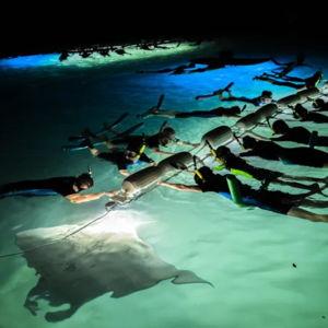 Night snorkeling with Manta Rays