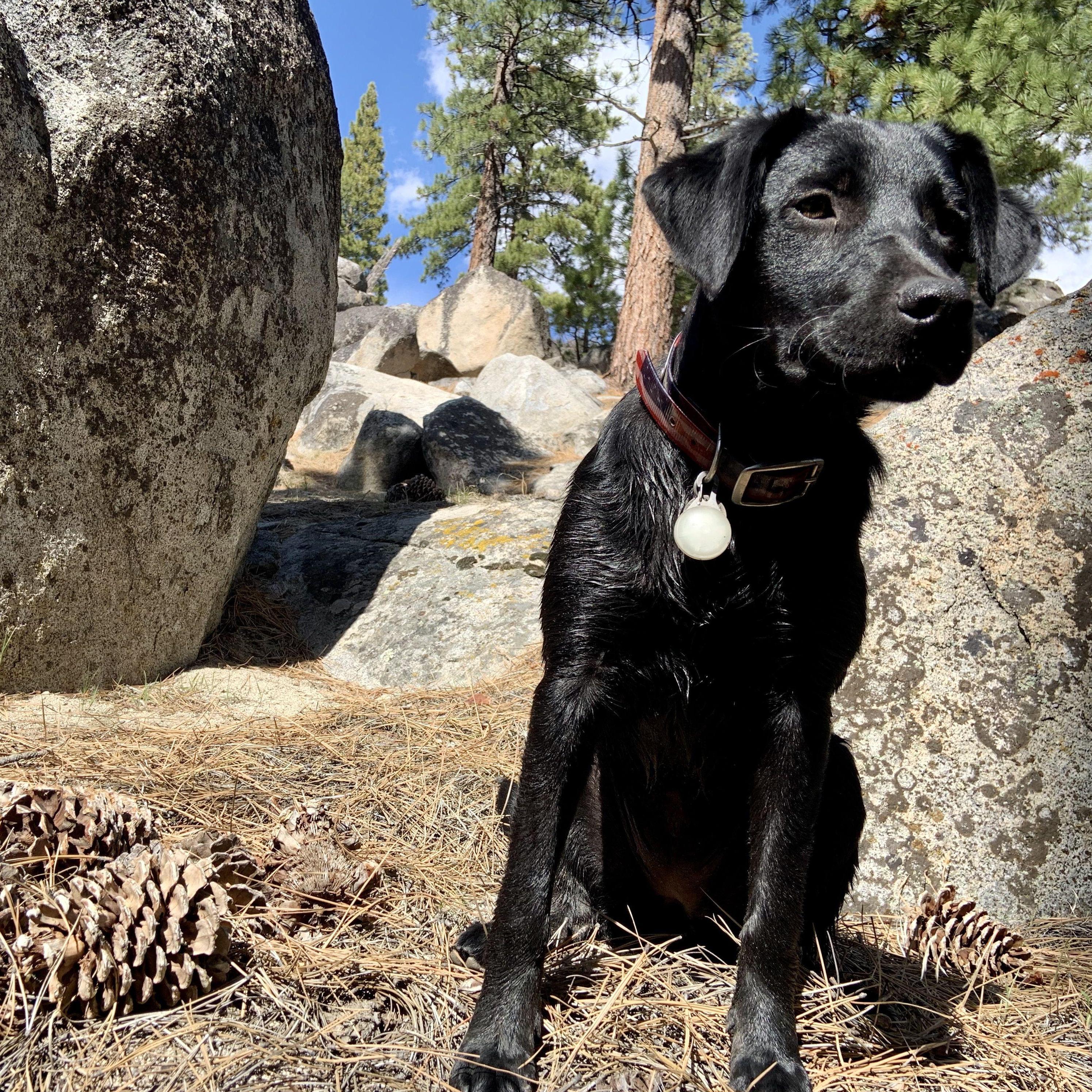 Camping in "Dog Valley."