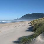 Manzanita