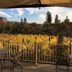Montoliva Vineyard & Winery