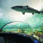 Ripley's Aquarium of Canada