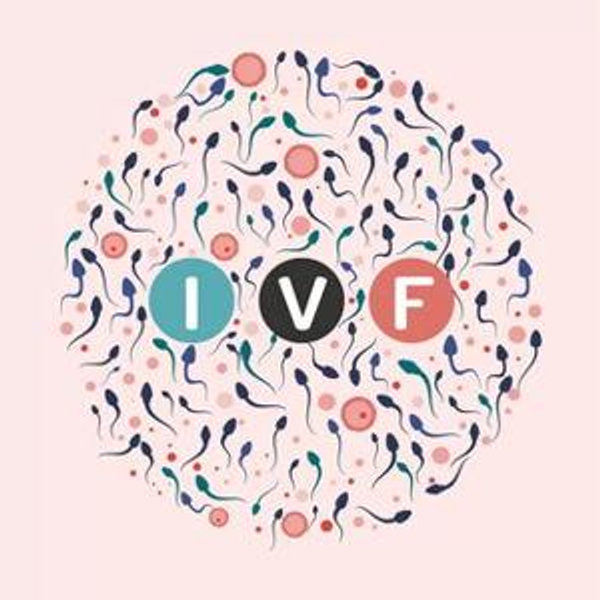 IVF Fund