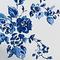 China Rose