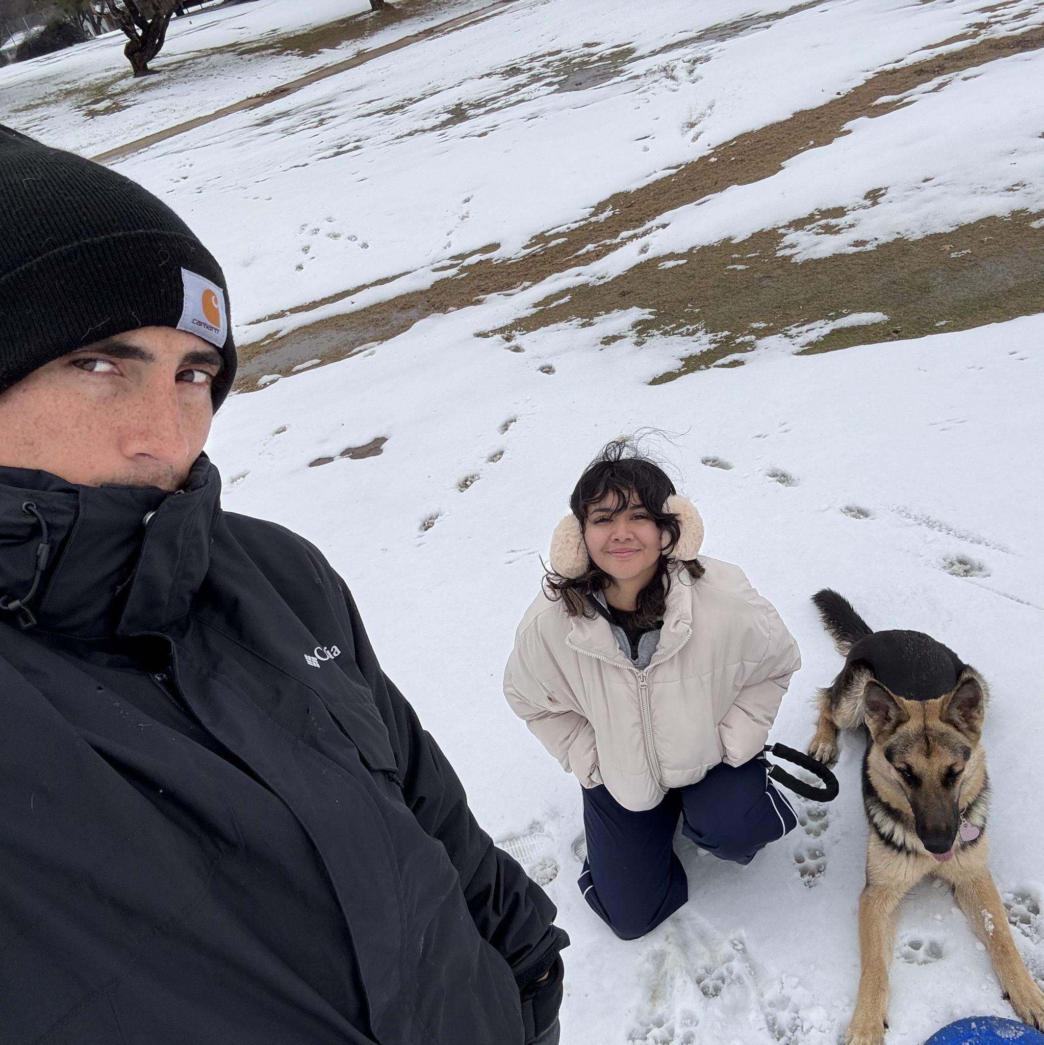 1/10/25: Artemis' first time in the snow!