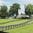 Kentucky Horse Park