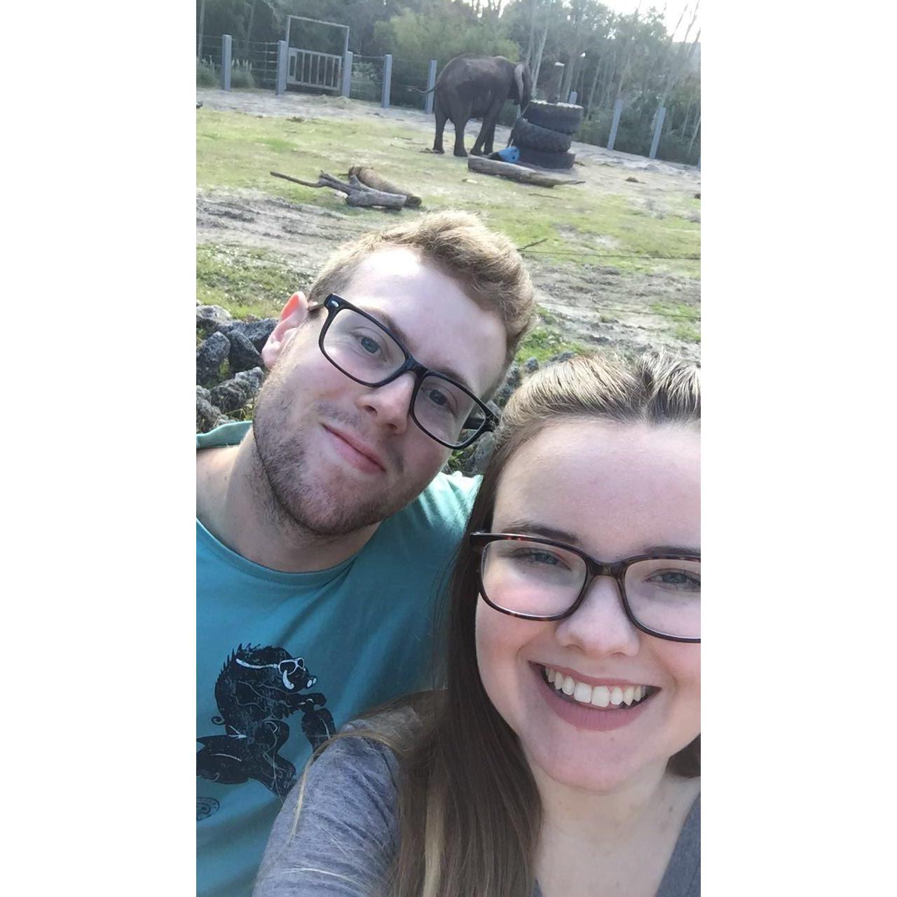 Jacksonville Zoo 2017