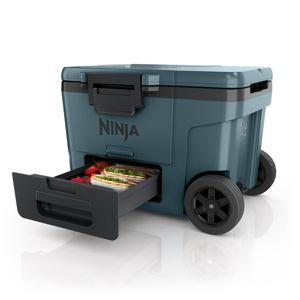 Ninja Cooler with dry storage
