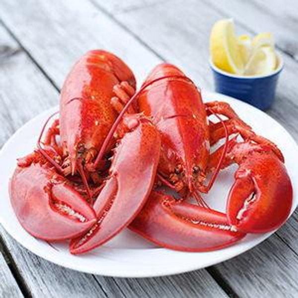 Honeymoon Lobster Dinner