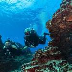 Scuba Diving