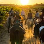 Wine Country Trails by Horseback