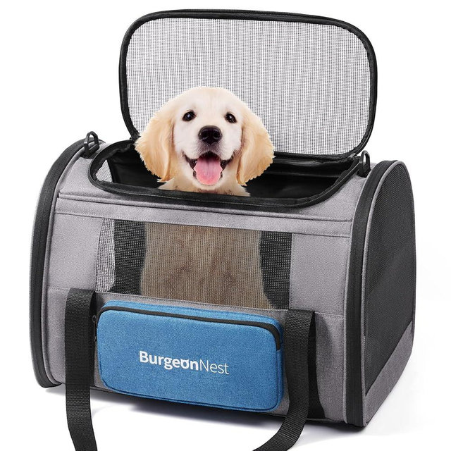 BurgeonNest Cat Carrier for Large Cats 20 lbs, Soft-Sided Pet Carrier for Small Dogs Medium Puppy Under 25 lbs, Puppy Travel Bag with Big Storage Bag, 4 Ventilated Windows, 3 Doors