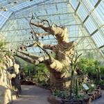 Cleveland Botanical Garden