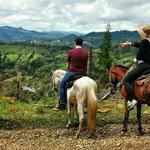Horseback riding