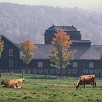Billings Farm & Museum