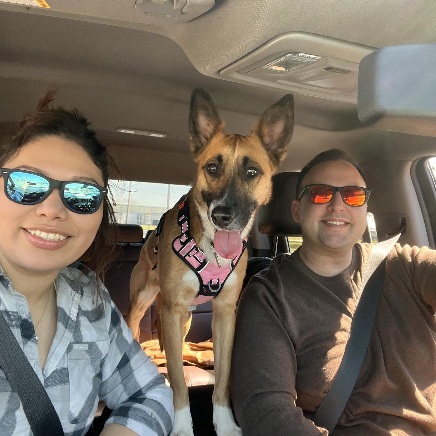 Road trip!
