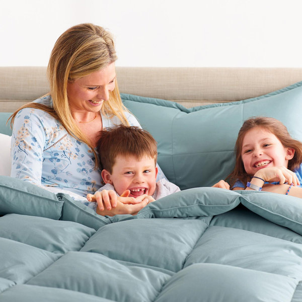 The Company Store LaCrosse LoftAIRE Comforter