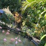 Sunken Gardens