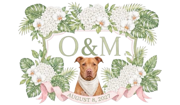 Footer image