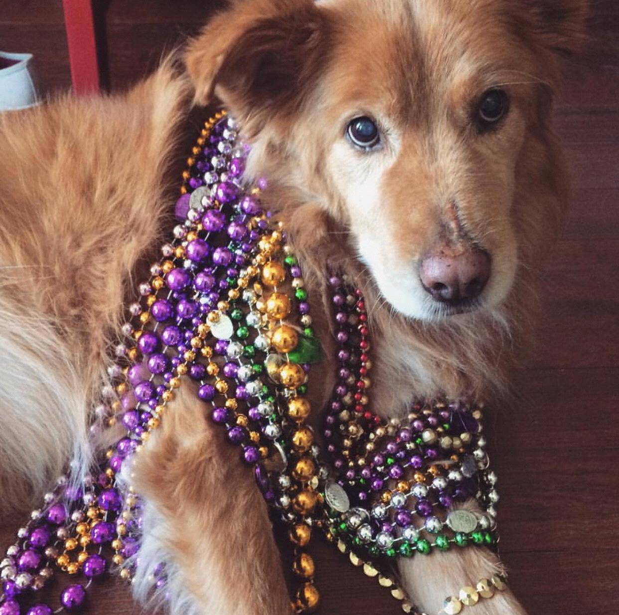See you in New Orleans!