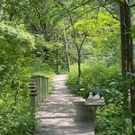 Eloise Butler Wildflower Garden and Bird Sanctuary