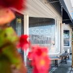 Social Habit