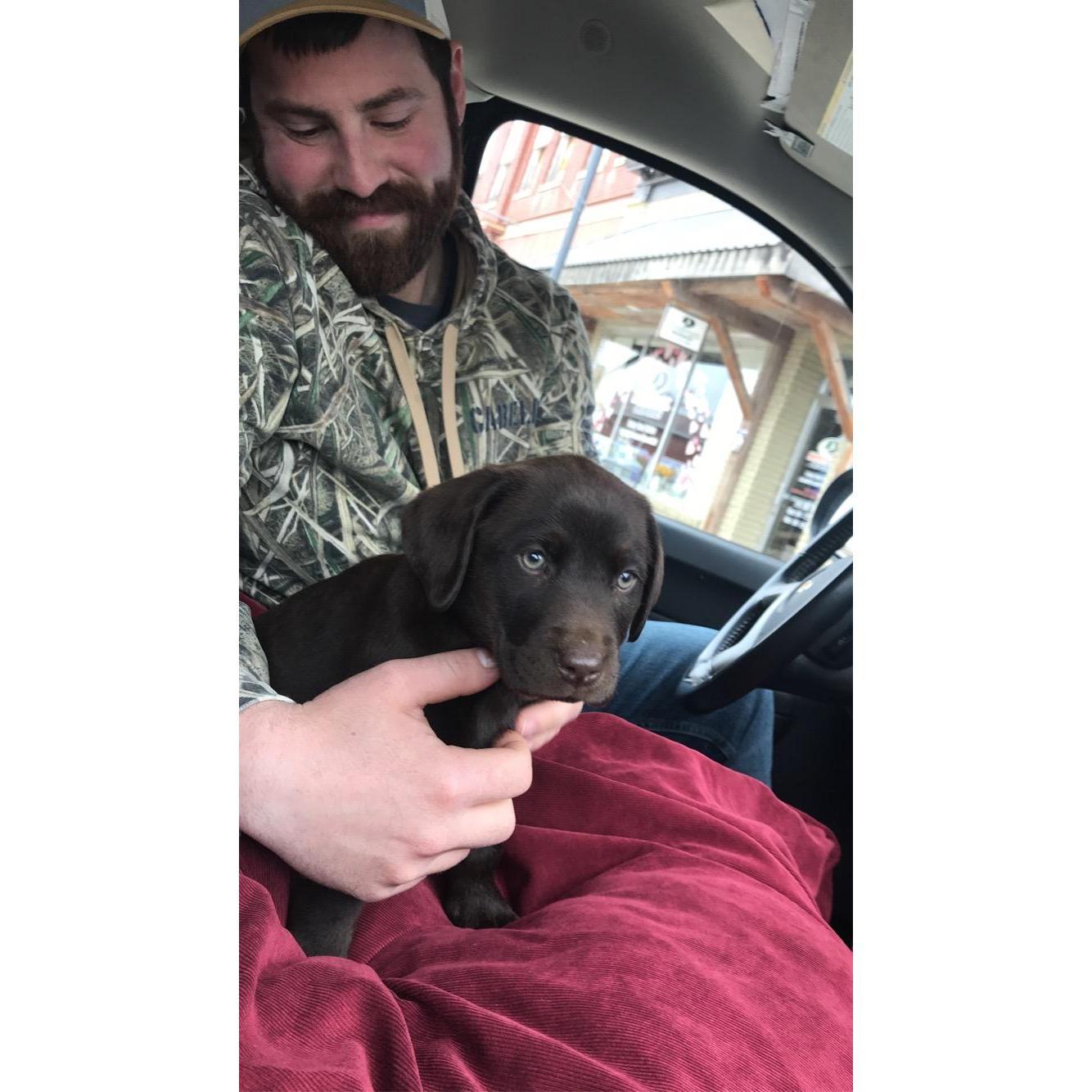 We added a new member to our family, Ivy.