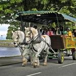 Stanley Park Horse-Drawn Tours