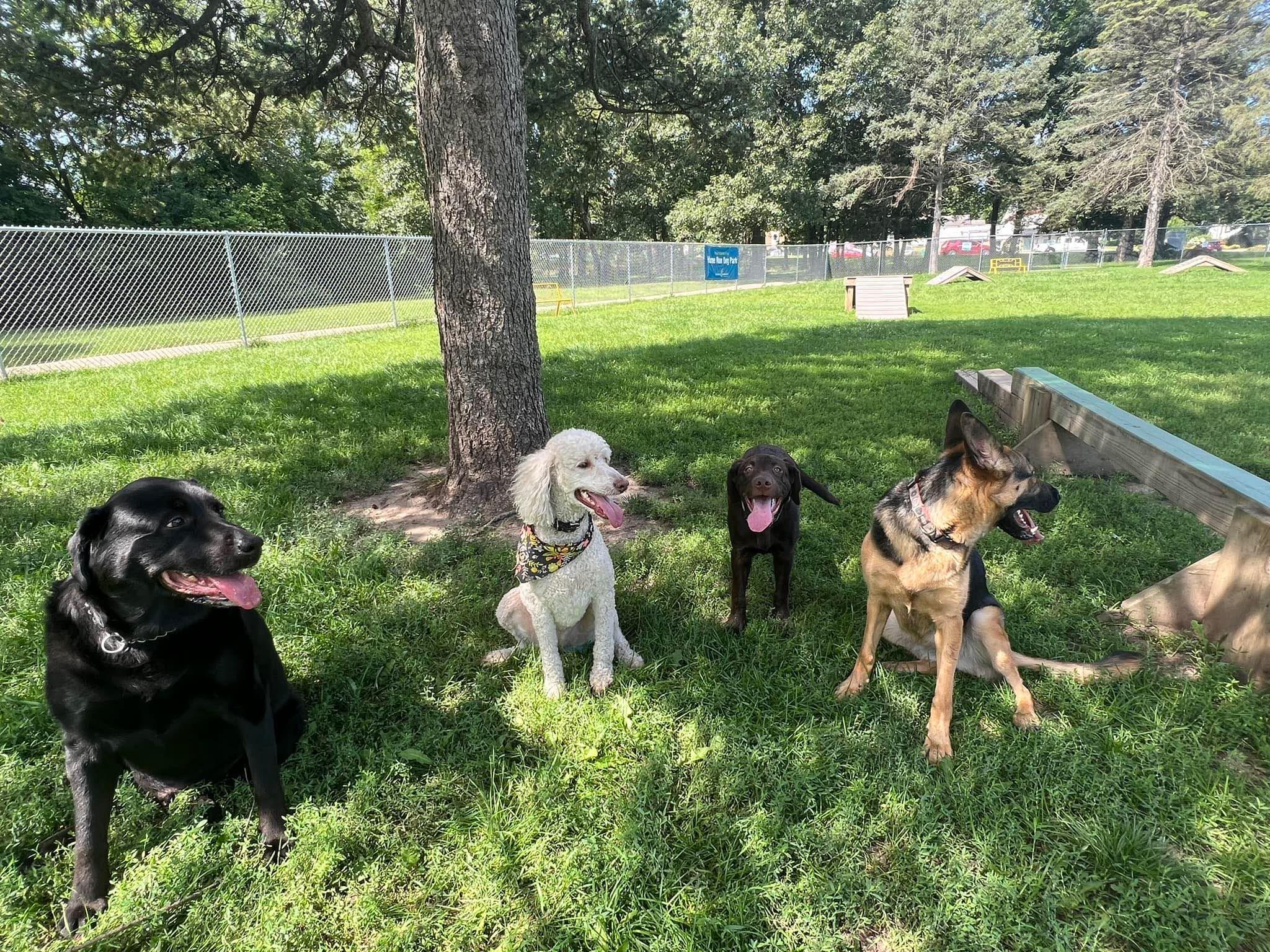 The Wedding Website of Sky Aguilar and Mitchell Faber