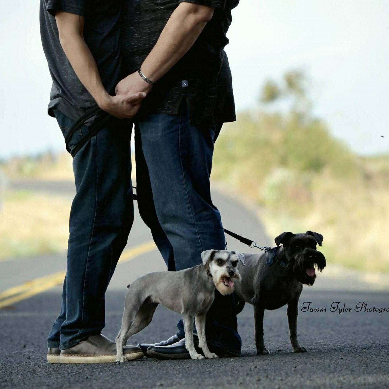Our amazing doggies have us all tangled up!