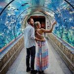 Shark Reef at Mandalay Bay Hotel and Casino