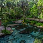 Wekiwa Springs State Park