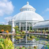 New York Botanical Garden
